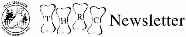 dog_newsletter 2